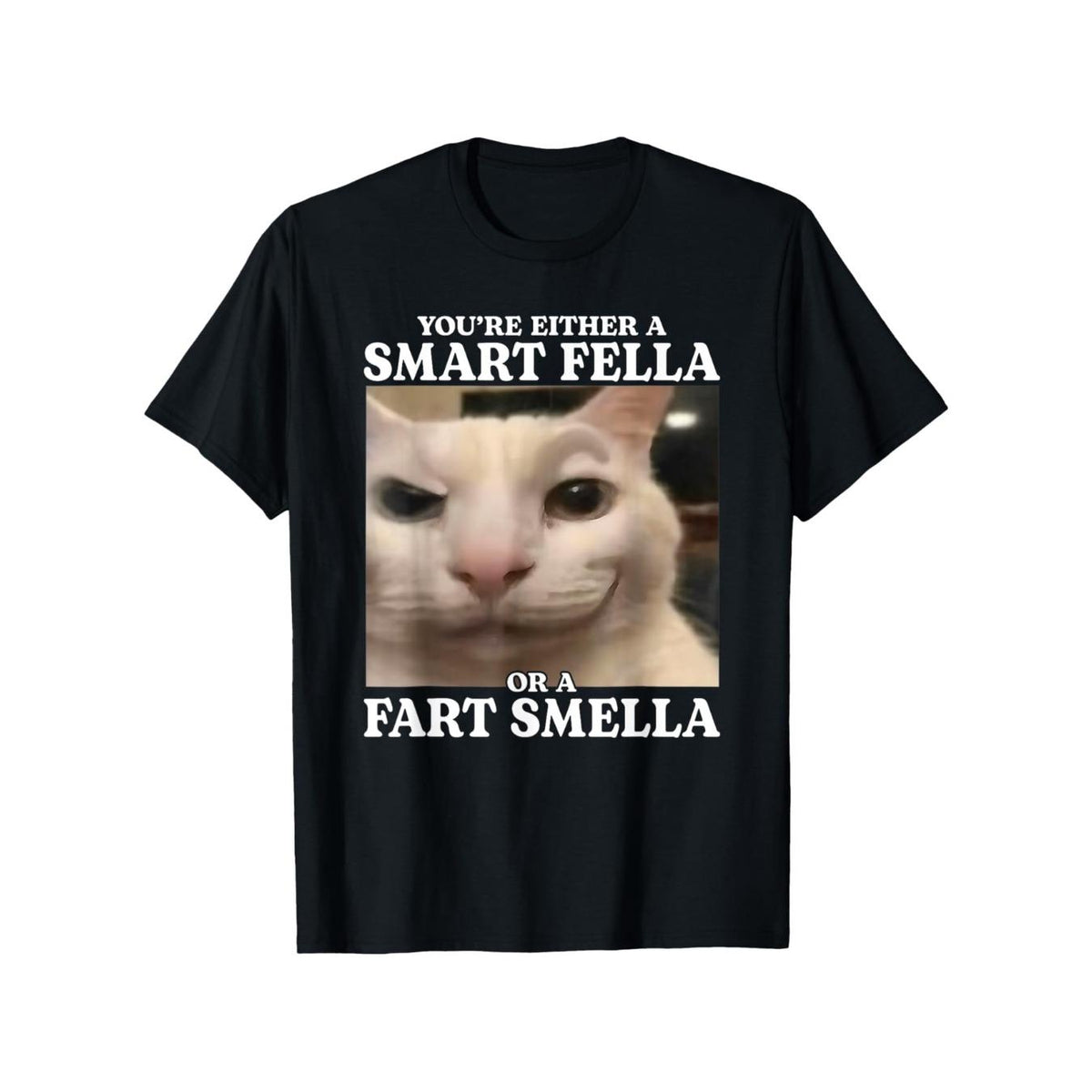 Funny Cat Meme T-Shirt: "Smart or Stinky" Unisex